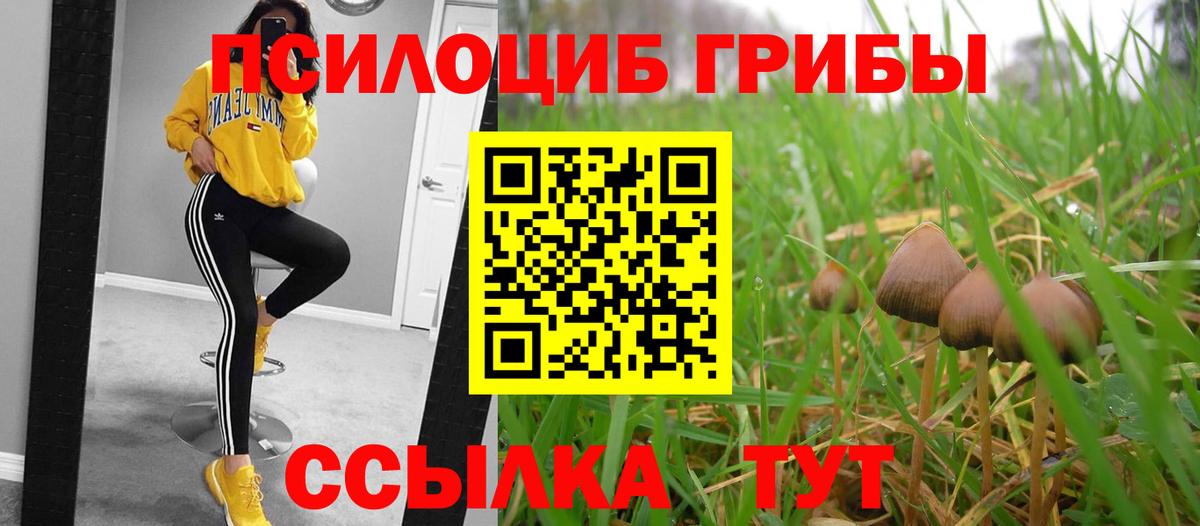 Фурманов  Галлюциногенные грибы ЛСД  Вход с VPN 